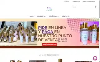 Boutiqueerelli.com Screenshot 2024-04-27 08:02:29