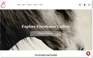 Eisenhauergallery.com Screenshot 2024-05-05 13:38:56