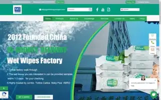 Chnmingouwipes.com Screenshot 2024-06-27 12:43:50