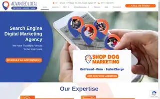 Advancedlocal.com Screenshot 2024-07-02 23:17:58