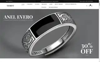 Temdt.com Screenshot 2024-04-27 06:39:59