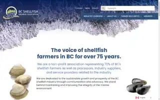 Bcsga.ca Screenshot 2024-06-26 00:44:23