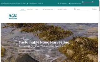Seaweedproducts.ie Screenshot 2024-07-01 03:10:10