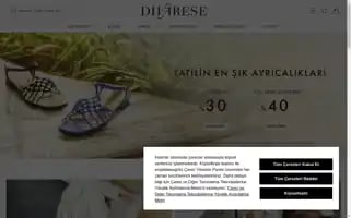 Divarese.com.tr Screenshot 2024-06-16 18:12:49