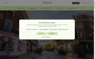 Belgravialdn.com Screenshot 2024-07-01 00:21:10