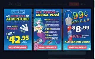 Austinaquarium.com Screenshot 2024-05-08 15:20:18
