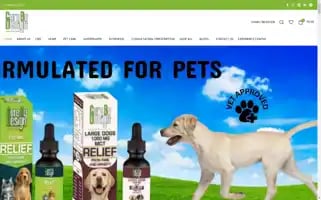 Curebydesign.in Screenshot 2024-06-12 02:34:37