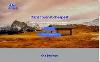 Umbrellacover.co.uk Screenshot 2024-05-26 06:49:05