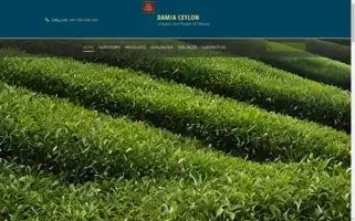 Damiaceylon.com Screenshot 2024-05-25 20:31:07