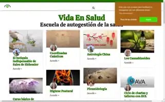 Vidaensalud.es Screenshot 2024-06-11 05:56:30