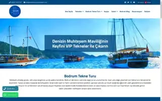 Bodrumturquoiseviptours.com Screenshot 2024-04-23 13:15:17