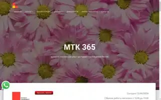 Mtk365.ru Screenshot 2024-06-12 00:13:18