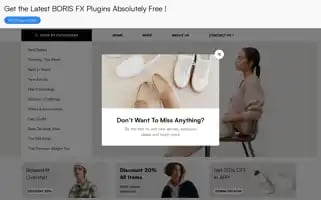 Teeweeshop.com Screenshot 2024-05-26 16:24:33