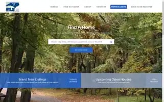 Triadmls.com Screenshot 2024-07-06 01:35:38