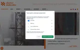 Chester.com.pl Screenshot 2024-06-18 17:34:28