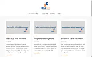 Gigadier.nl Screenshot 2024-06-16 10:26:09