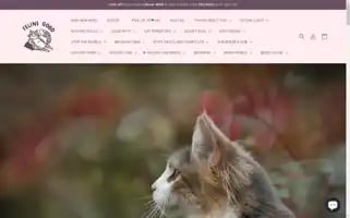 Felinegood.se Screenshot 2024-05-03 17:33:19