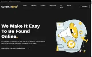 Consumrbuzz.com Screenshot 2024-06-13 00:04:38