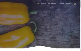 Snappy-foods.com Screenshot 2024-05-17 05:09:02