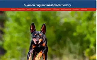 Englishtoyterriers.fi Screenshot 2024-07-01 19:49:15