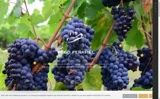Pagopenafiel.es Screenshot 2024-05-22 11:43:46