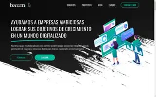 Baumdigital.com Screenshot 2024-06-28 19:20:08