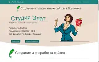 Seo-do.ru Screenshot 2024-06-17 11:42:29