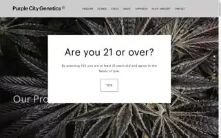 Purplecitygenetics.com Screenshot 2024-06-16 12:58:48