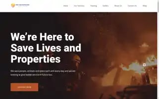 Drayfireprotectionservices.com Screenshot 2024-05-27 05:58:59