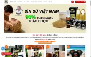 Sinsuvietnam.com Screenshot 2024-06-28 14:01:25