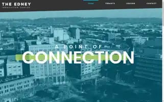 Theedney.com Screenshot 2024-07-03 12:34:45