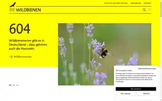 Wildbiene.org Screenshot 2024-07-03 06:04:29