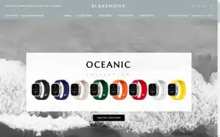 Blakemoor.com Screenshot 2024-05-20 19:30:29