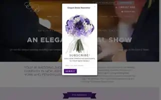 Elegantbridal.com Screenshot 2024-05-09 13:33:02