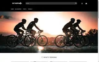Bicycleorigin.com Screenshot 2024-05-26 10:49:31