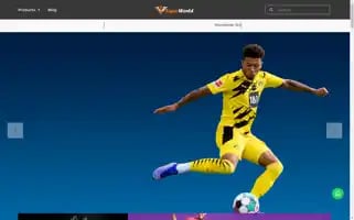 Signoworld.com Screenshot 2024-06-26 19:58:53