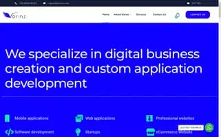 Vorins.com Screenshot 2024-06-14 04:19:43