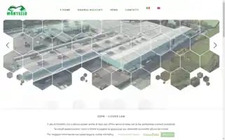 Montello-plastics.com Screenshot 2024-07-06 17:01:55