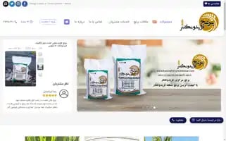 Berenjfereydunkenar.com Screenshot 2024-05-22 03:19:35