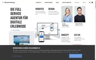 Bluemonkeys.at Screenshot 2024-06-29 07:19:32