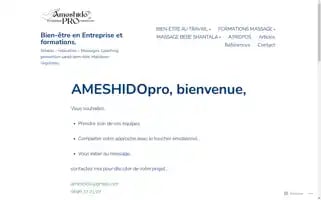 Ameshidopro.fr Screenshot 2024-06-16 20:43:00
