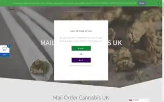 Greenbagsuk.com Screenshot 2024-05-17 03:23:27