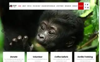 Ctph.org Screenshot 2024-06-18 03:09:35