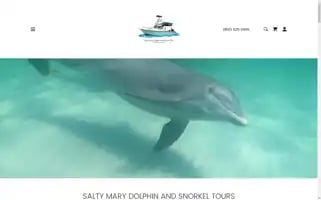 Saltymarydolphinandsnorkeltours.com Screenshot 2024-04-26 21:57:30