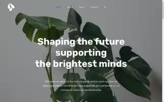 Amaroni.capital Screenshot 2024-05-19 05:46:03