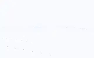 Paculi.com Screenshot 2024-07-08 10:48:35