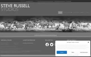 Steverussellstudios.com Screenshot 2024-06-24 17:40:04