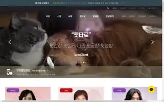 Wowtarot.co.kr Screenshot 2024-07-08 16:20:45