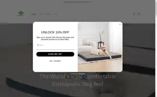 Shopbuddybed.com Screenshot 2024-05-03 16:23:44