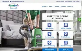 Precisionchemdry.com Screenshot 2024-05-13 11:45:17